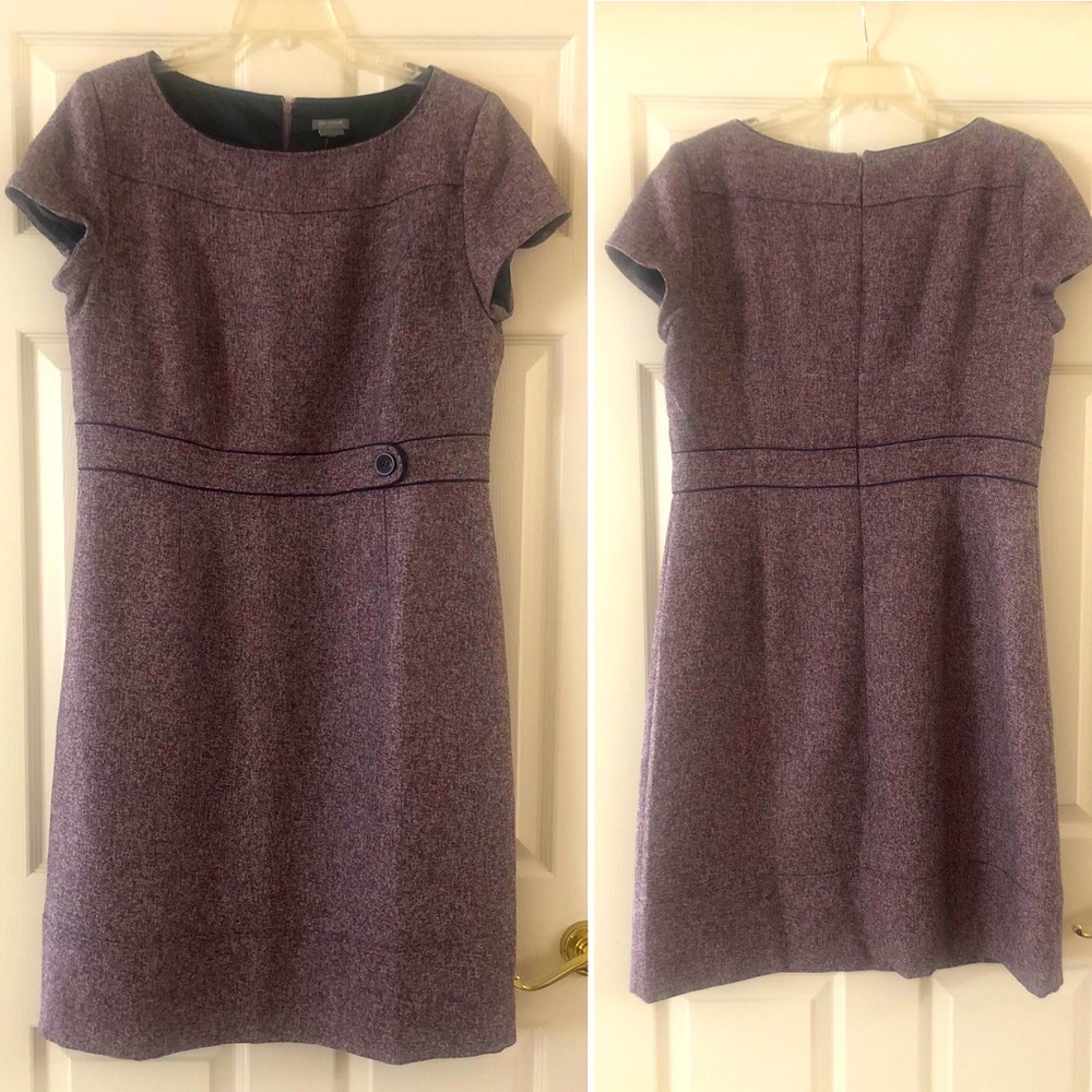 Ann Taylor Retro 50’s Work Dress